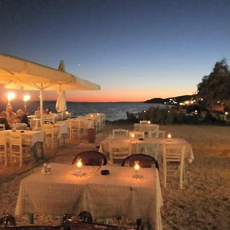 Asterias *